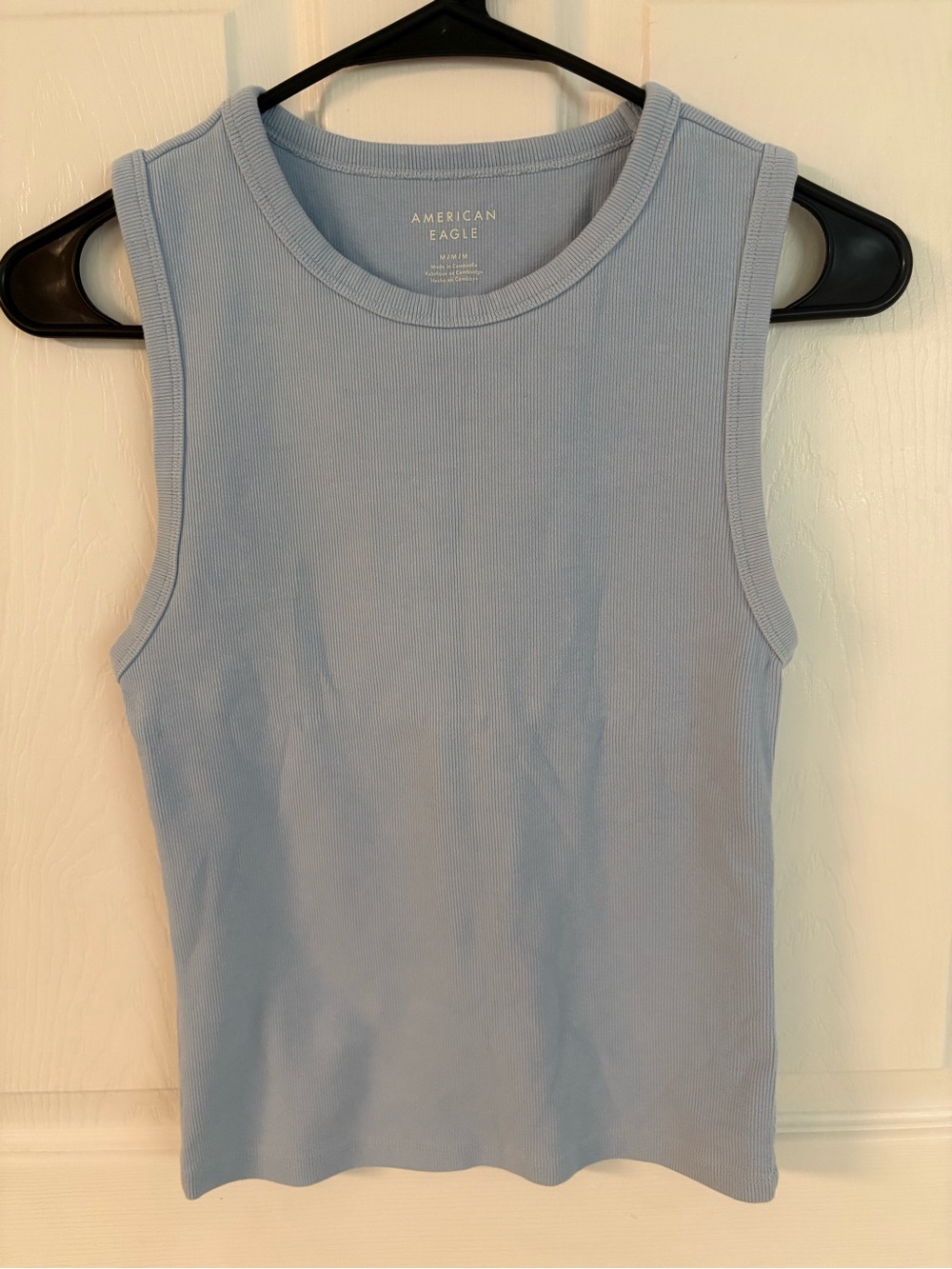 American Eagle Outfitters Light Blue Ribbed Tank